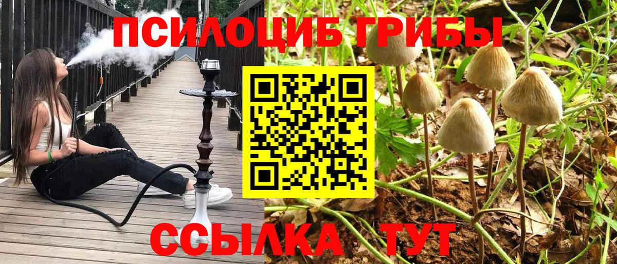 Коряжма  Псилоцибиновые грибы Magic Shrooms  Вход с VPN  Галлюциногенные грибы мухоморы 